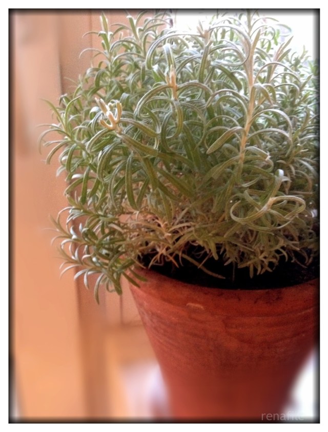 2015-04-06 19.04.31-2